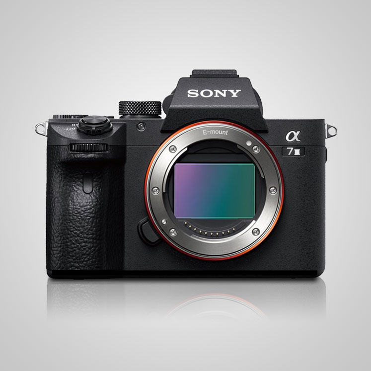 Sony a7